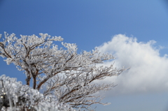 青空と雲と樹氷