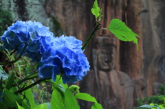 紫陽花と磨崖仏Ⅱ