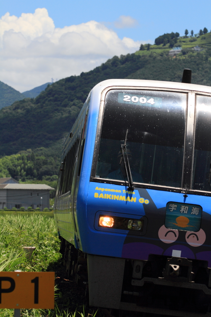 夏空と夏草とアンパンマン列車