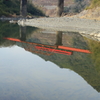 清流に映す