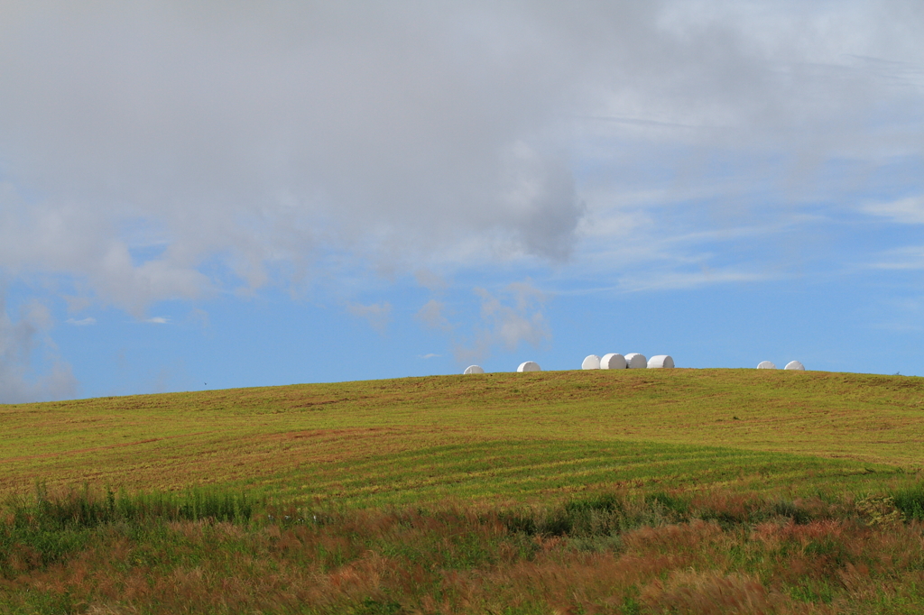 Windows XP