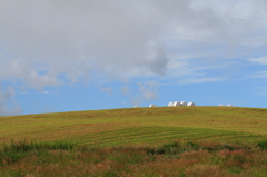 Windows XP