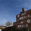 あなたはどっち派？！
