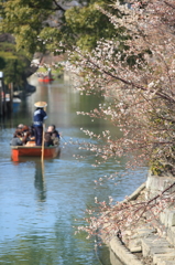 早春の柳川