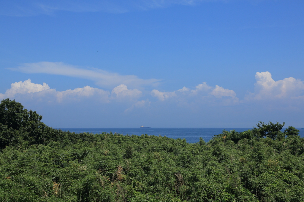 夏を望む