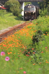 秋めく線路沿い