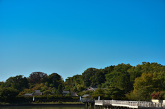 長岡天神
