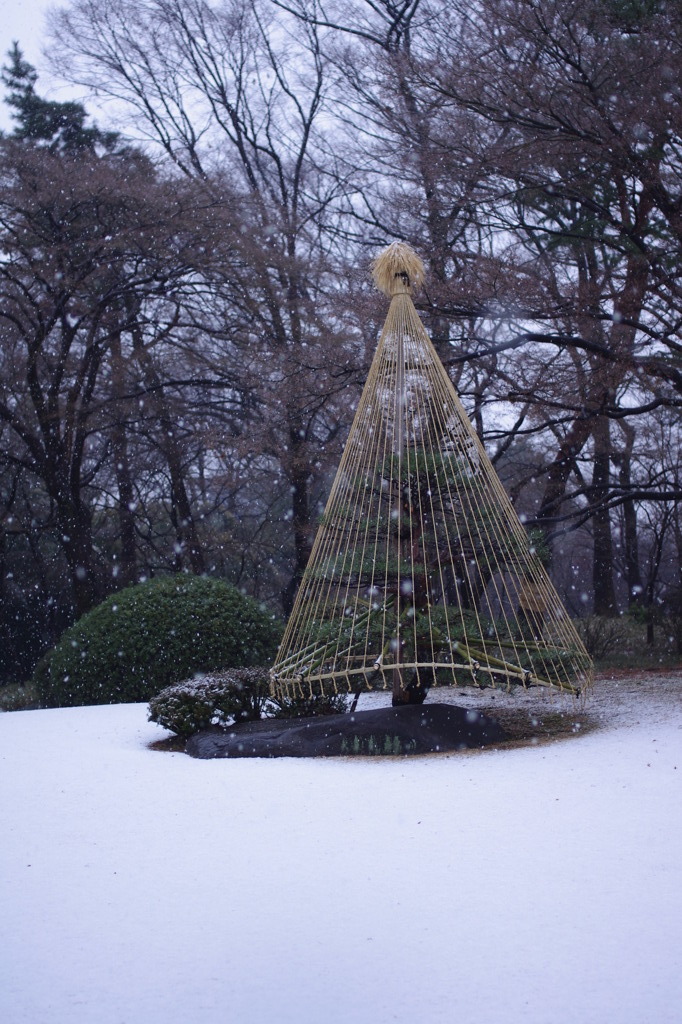 雪吊