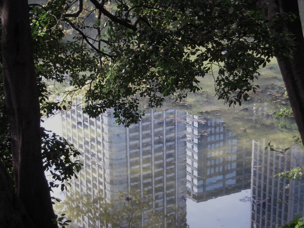 水中都市