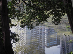 水中都市