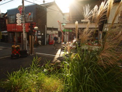 秋の交差点