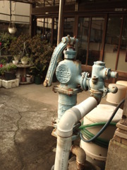 井戸