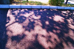 tree moving