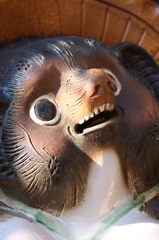 狸