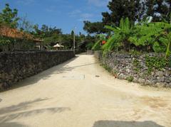 幹線道路(笑)