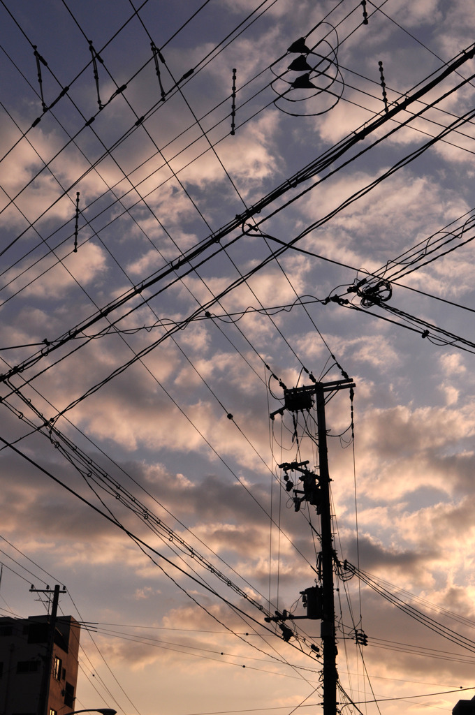 電線