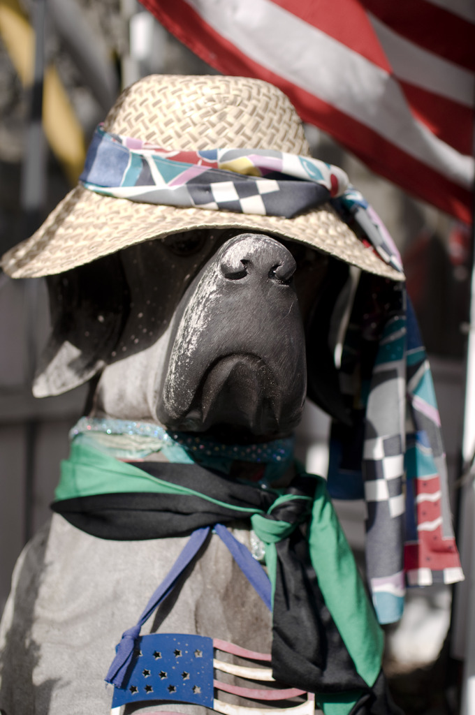 お洒落リーダー