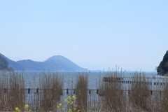 奥琵琶湖～塩津浜の春