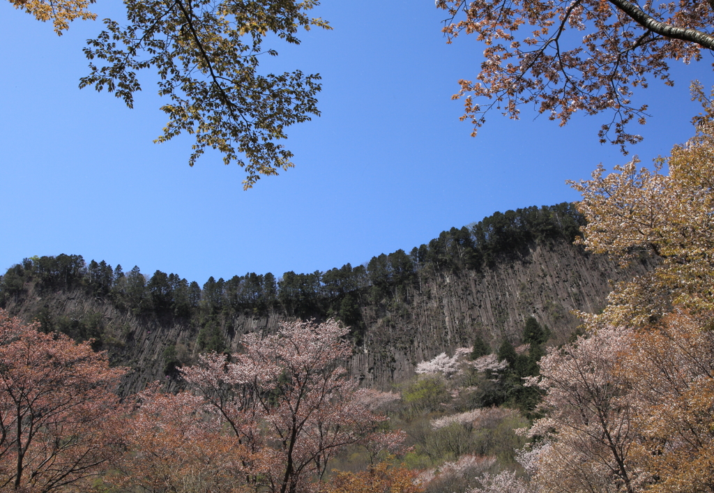 山笑う