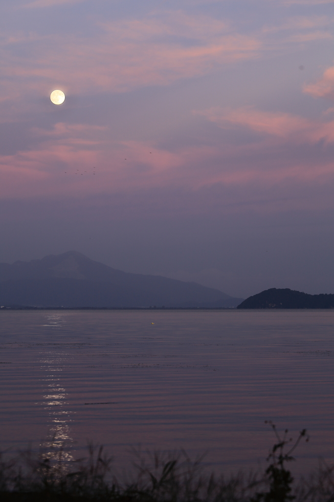 中秋の名月