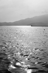 きらめく海Ⅱ