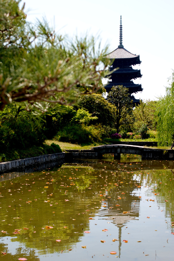 東寺