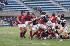 ナイスチャージ