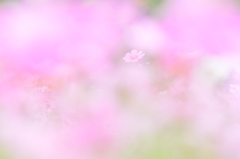 幻界