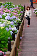 花と華