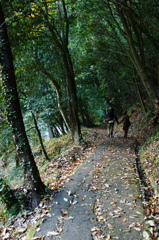 仲良く散歩道
