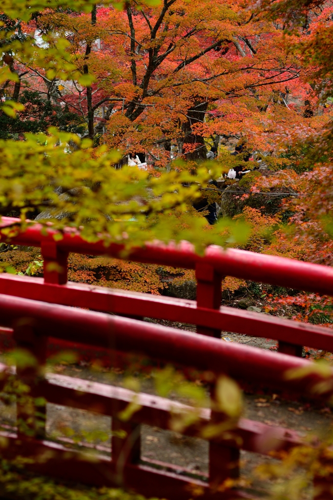 和の情景