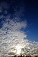 見上げた空