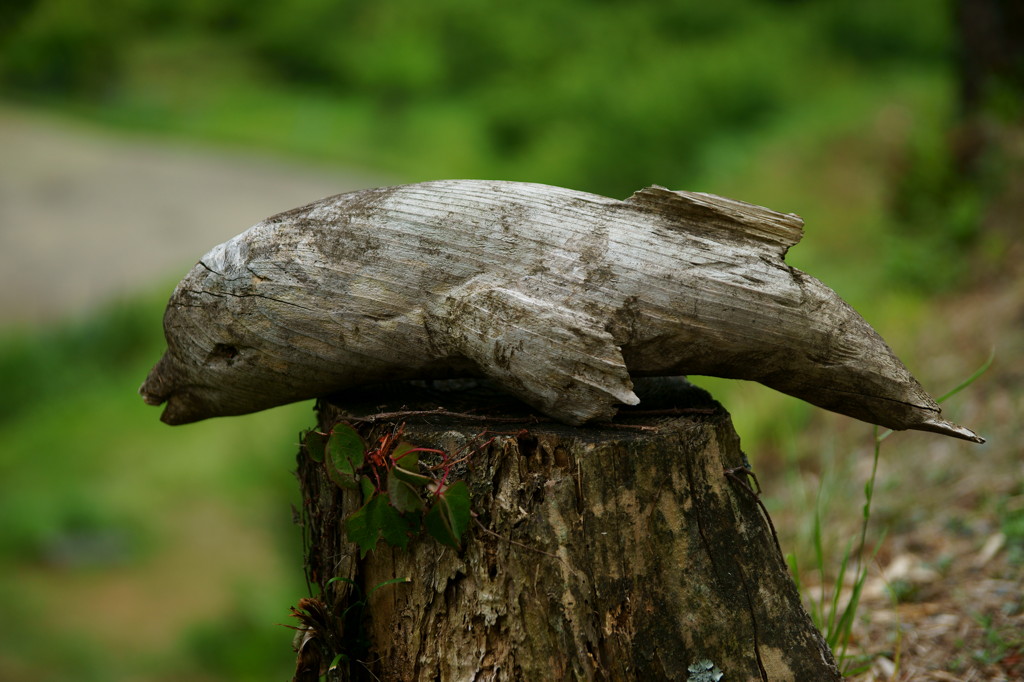 「死因」頭蓋骨骨折