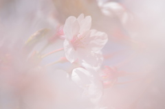 ここにいるよ