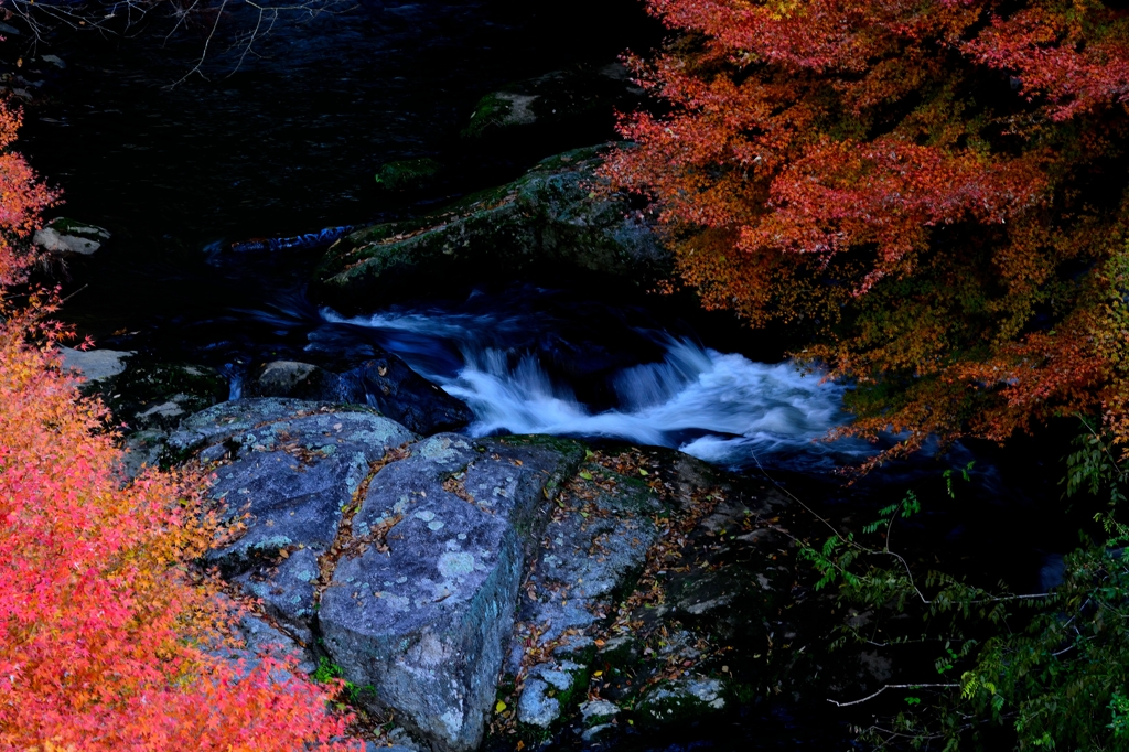 季節の流れ