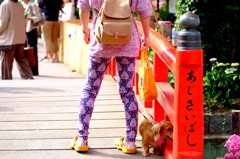 あじさいばし