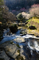 春の渓谷