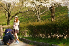 花より団子パクリ!