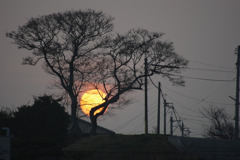 ある日の夕日