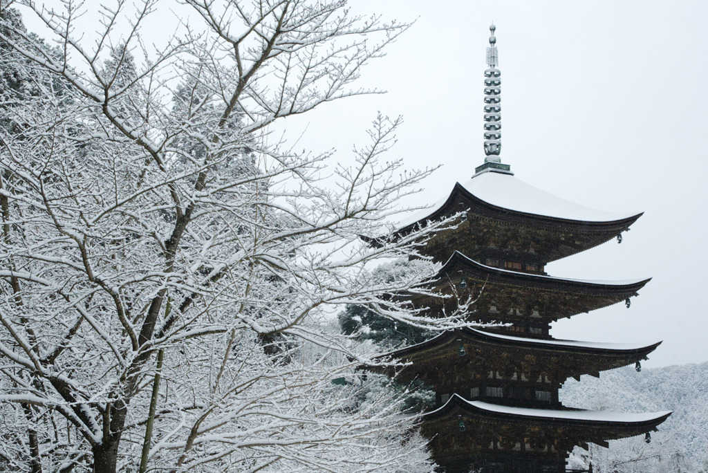 雪の瑠璃光寺