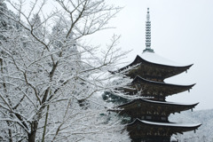 雪の瑠璃光寺