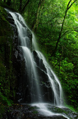 岩肌に沿って