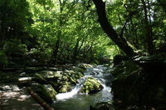 太郎ヶ淵の渓谷