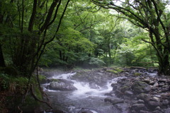 靄（もや）