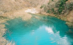 深山のエメラルド