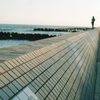 マナーを守ってこその遊びです。