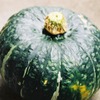 田舎からの贈り物