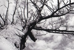 がんばって生きな。