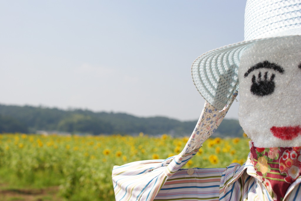 ご苦労様です。