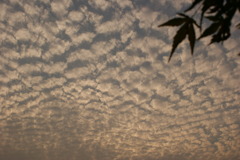 Takanezawa in tochigi